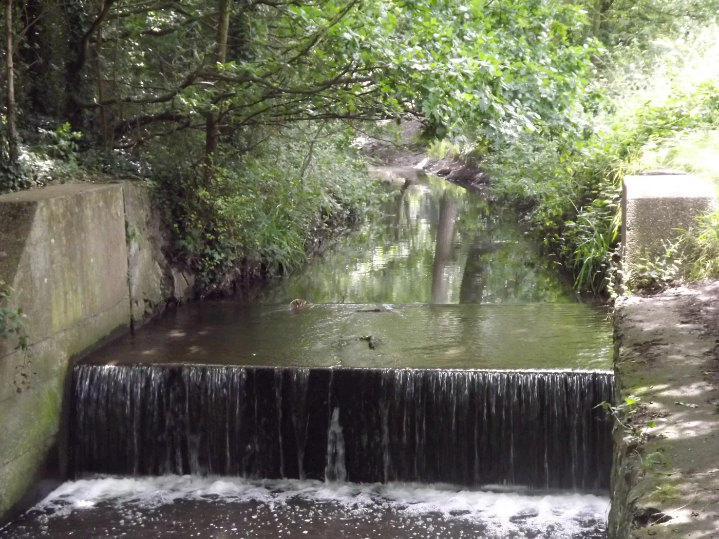 A weir on the Hogsmill River at Ewell. The photograph was taken on an earlier date and does not show current water levels.